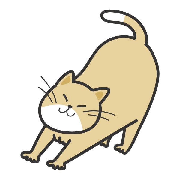 伸びをする猫