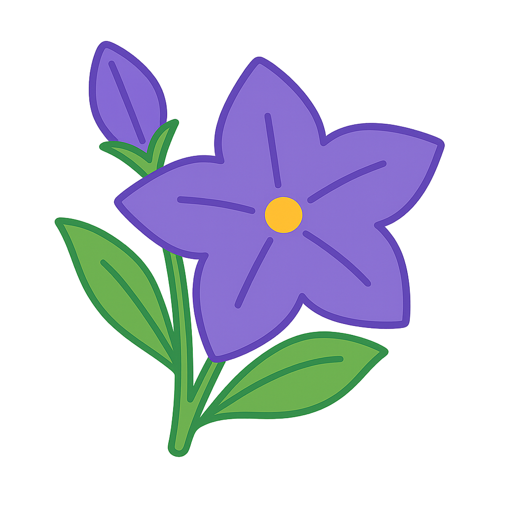 キキョウの花