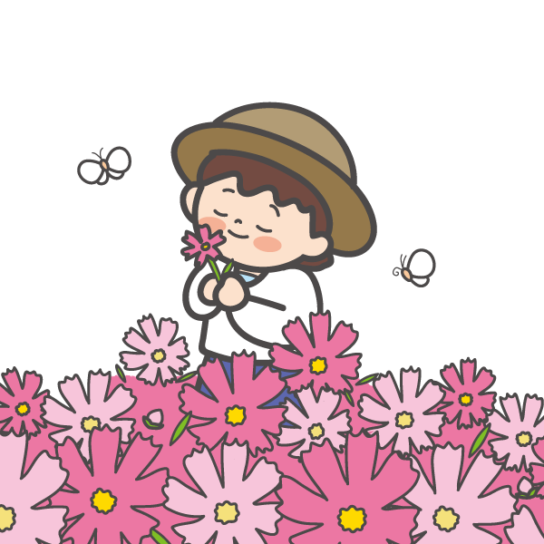 コスモス畑で花を摘む子ども