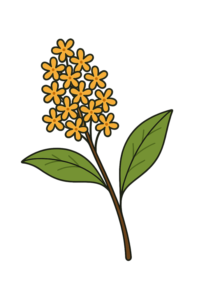キンモクセイの花